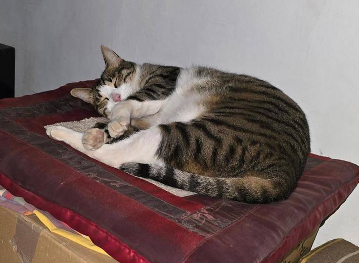 Appartement de vacances pour 2 personnes