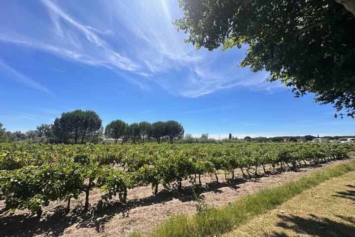 Gîte pour 4 personnes, adapté aux familles à Aigues-Mortes - 3