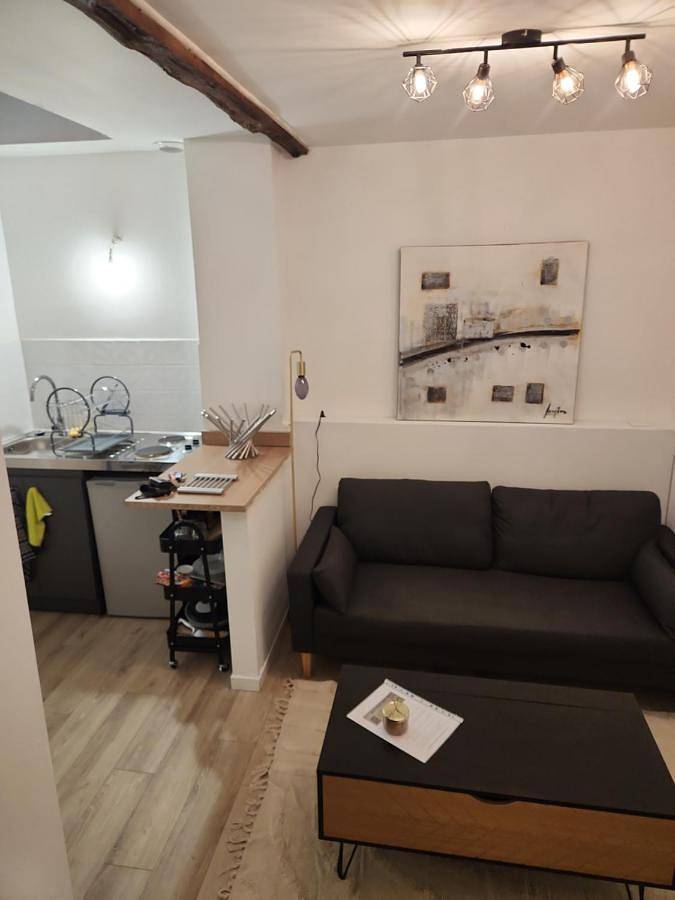 Gîte pour 2 personnes, animaux acceptés dans Le Palais-sur-Vienne - 4