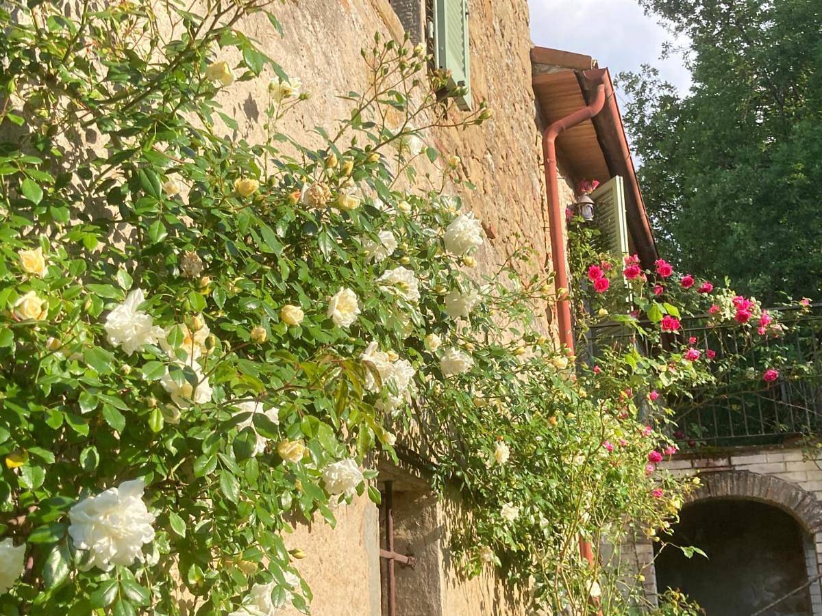 Bargi in Città di Castello (Italia), Valtiberina