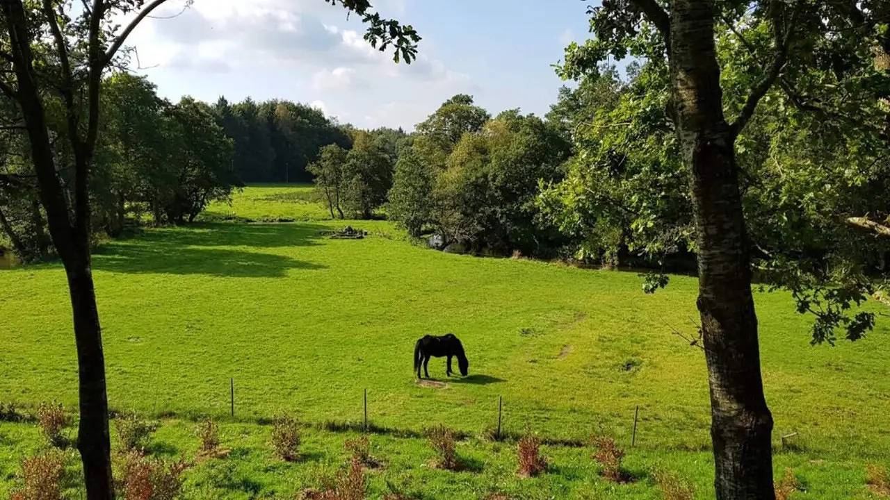 Ferienhaus für 4 Personen (78 m²) in Ansager in Ansager, Varde