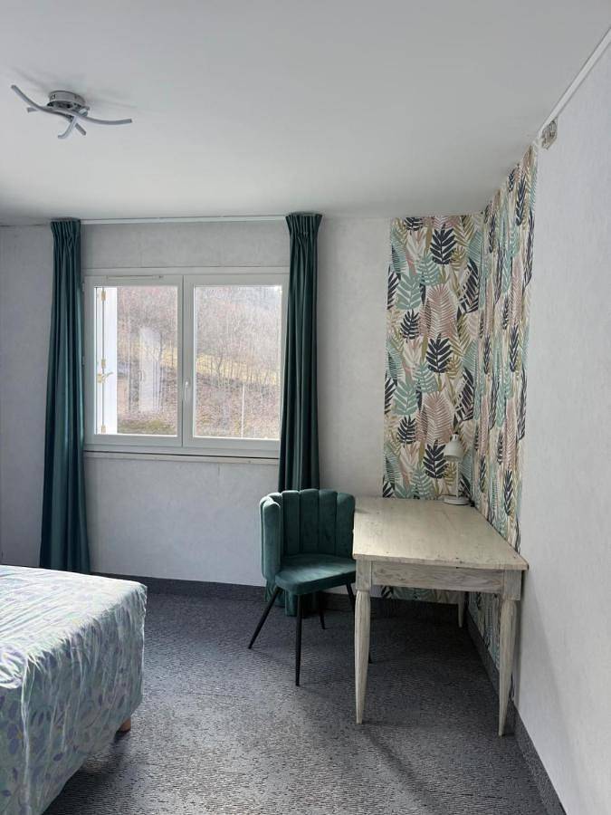 Hôtel pour 3 personnes, avec vue sur le lac et vue dans Lac du Sautet - 2