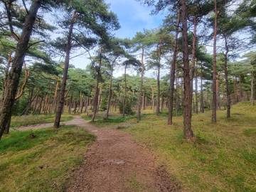 Ferienwohnung für 4 Personen in Sønderstrand, Havneby, Bild 4