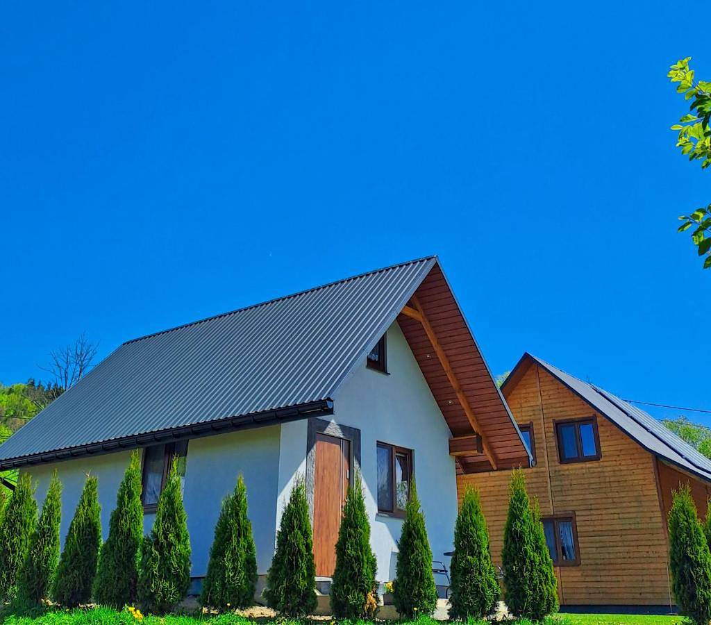 Two-Bedroom House in Bieszczady