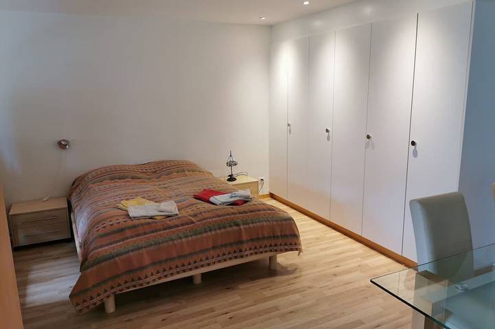 Ganze Wohnung, Geräumiges 1-Raum Apartment mit Küche, separatem Badezimmer, kein Parken am Haus in Horw, Vierwaldstättersee
