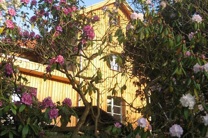 Ferienwohnung für 4 Personen, mit Terrasse und Garten in Bastei - 4