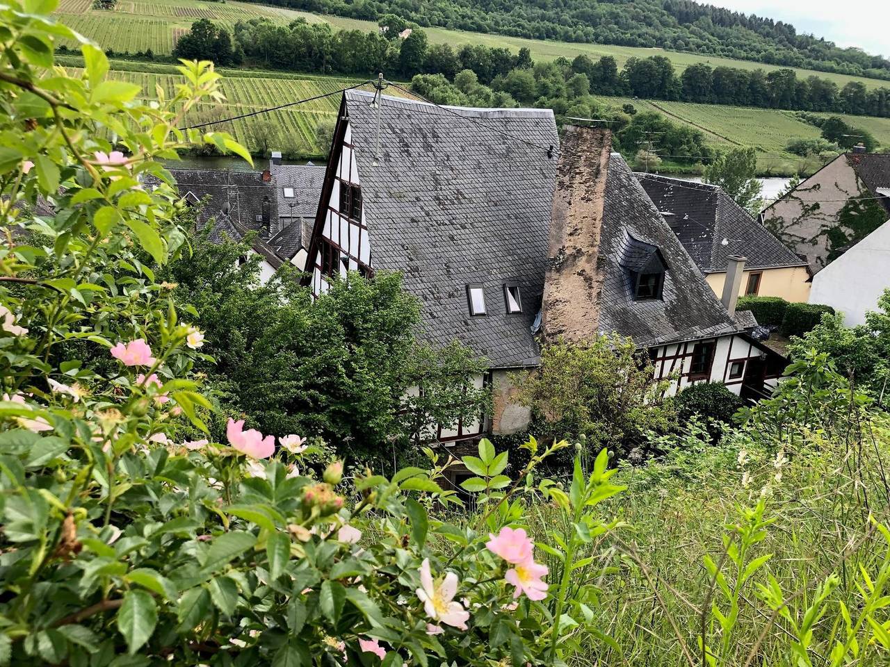 Galeriewohnung "Marienburg" in Merl, Zell (Mosel)