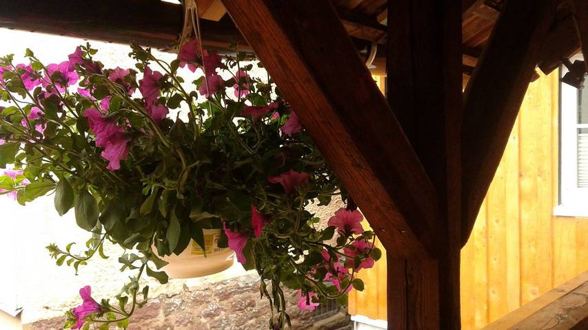 Gîte pour 3 personnes, avec balcon à Bad Wildbad - 4