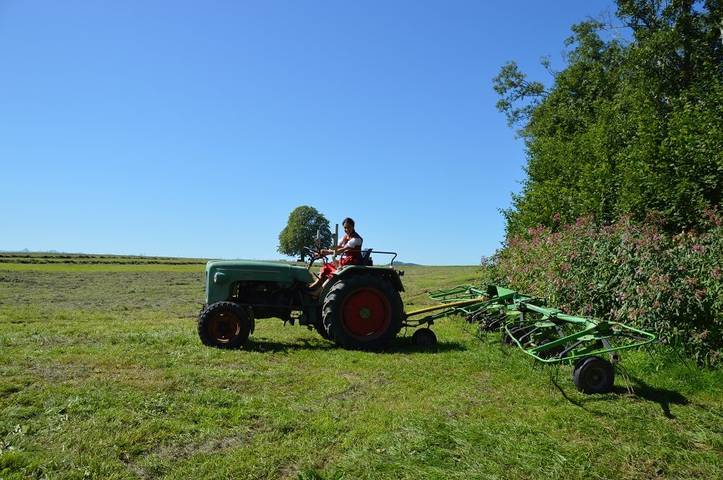 Ferienhaus für 3 Personen, mit Balkon und Garten in Scheidegg - 3