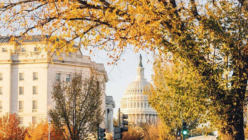 Holiday letting for 2 people in Washington D.C.