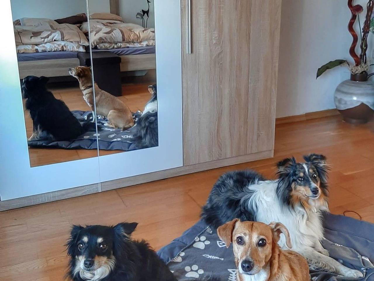 Ganze Ferienwohnung, Hillis Ferienwohnung Saarland - Ferienwohnung in St. Ingbert, Saarpfalz-Kreis