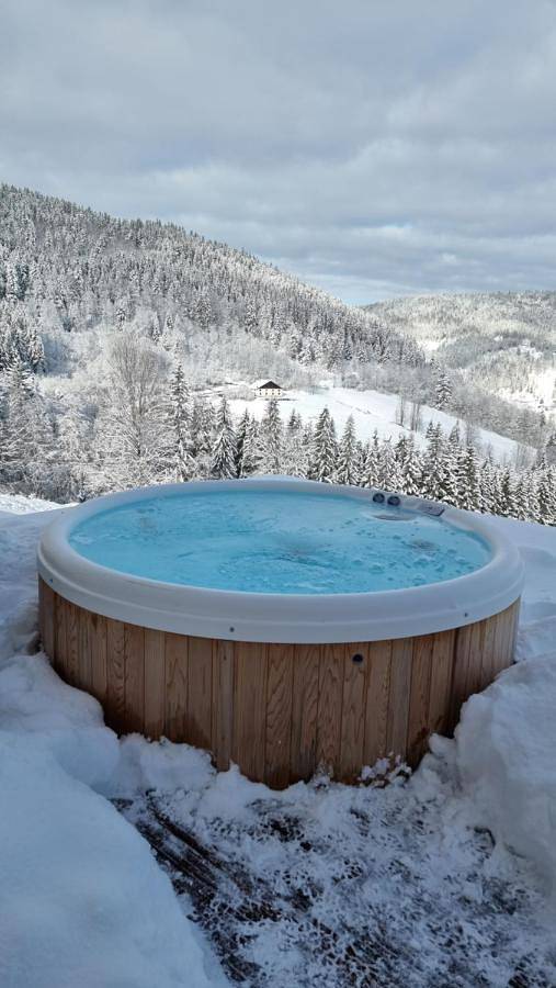 Maison d’hôte pour 2 personnes, avec vue ainsi que sauna et jardin dans les Vosges - 4
