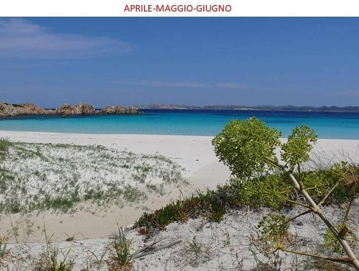 Maison d’hôte pour 4 personnes, avec jardin ainsi que terrasse et vue, animaux acceptés dans La Maddalena - 4