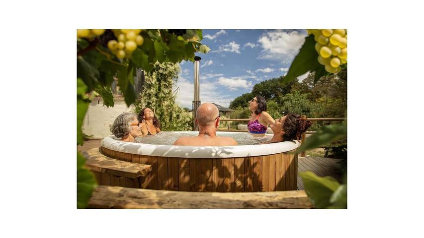 Location de vacances pour 6 personnes, avec terrasse et vue ainsi que jardin et piscine, animaux acceptés à Bonnes - 3