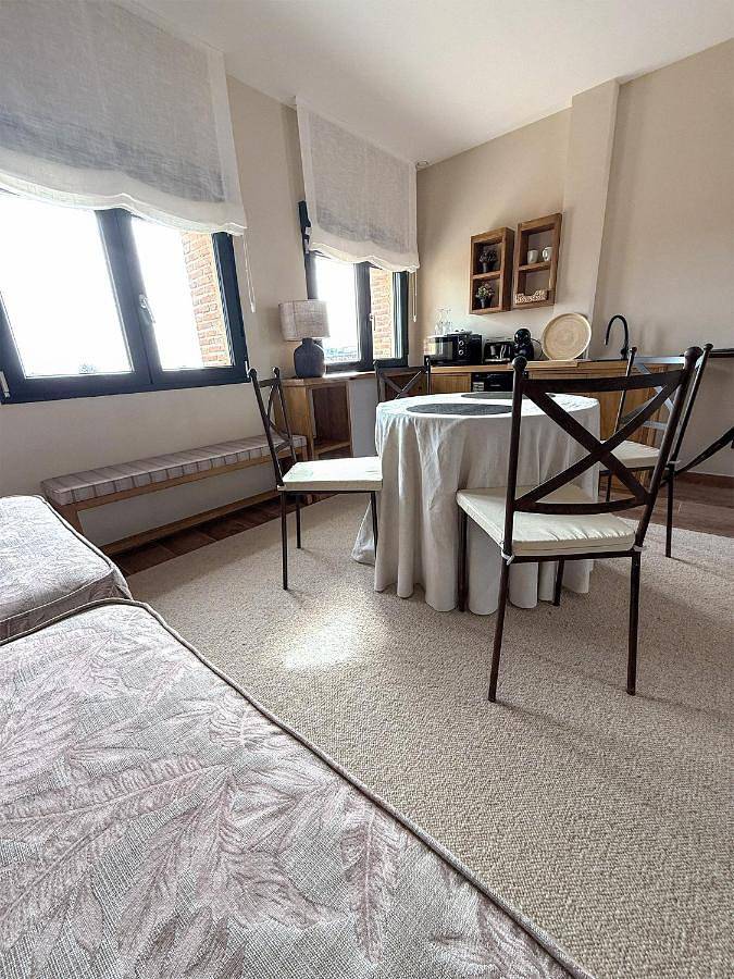 Apartamento de vacaciones para 2 personas, con vistas y jardín en Ribera del Duero - 4