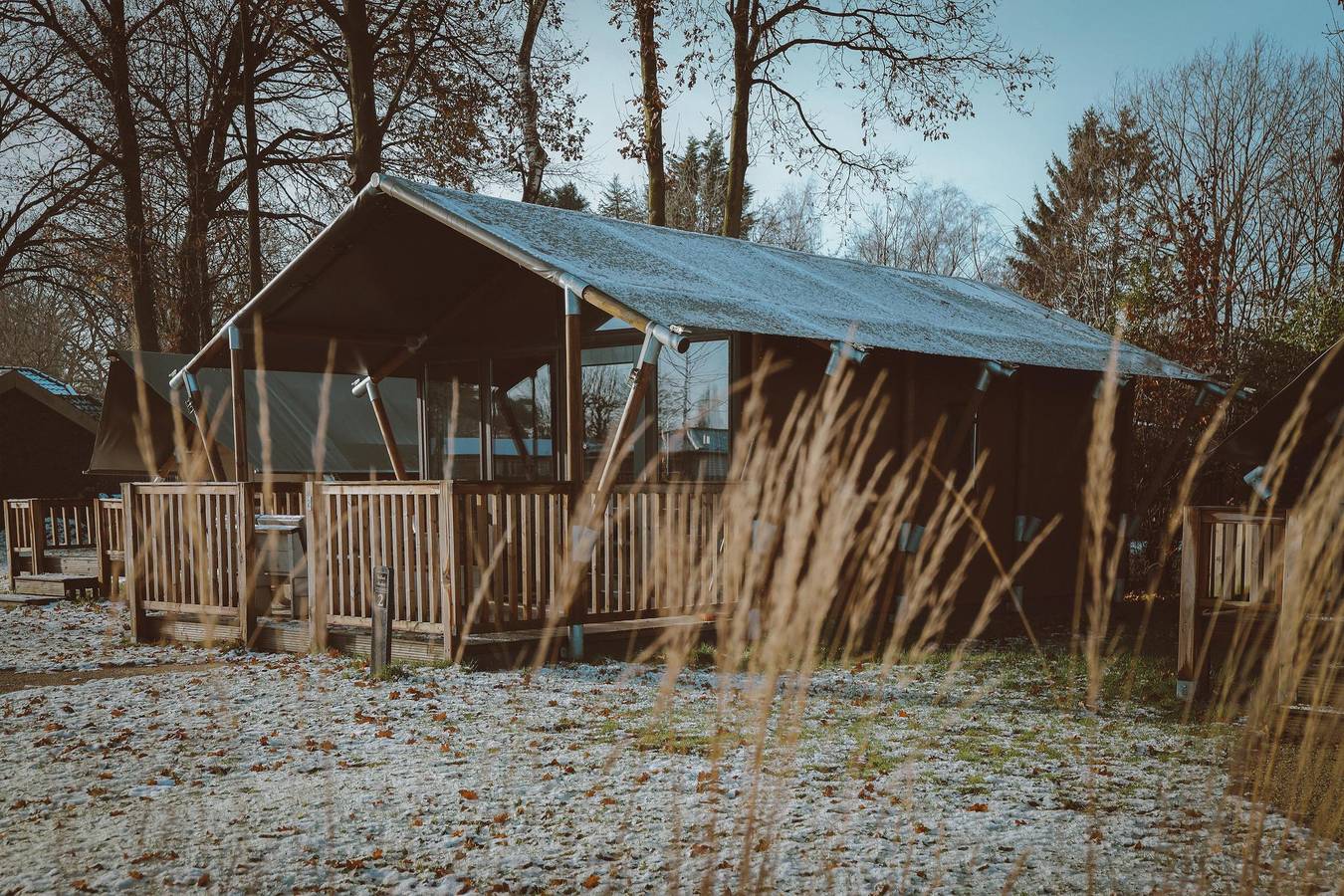 Glamping voor 4 Personen in Veluwe, Gelderland
