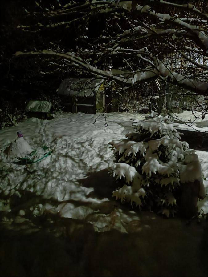 Gîte pour 5 personnes, avec vue ainsi que jardin et balcon dans Cicmany - 2