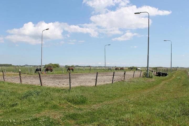 Chalet für 4 Personen, mit Terrasse und Garten sowie Ausblick in Den Helder - 3