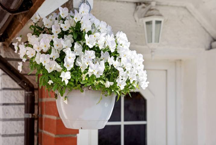 Ferienhaus für 4 Personen in Bergen auf Rügen - 2