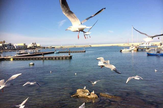 Alojamiento y desayuno para 3 personas en Bari