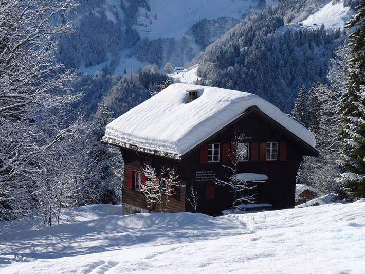 Ganze Ferienwohnung, Chalet Maria Theresia Nr. 195 - 5.5 Zimmer Chalet in Braunwald, Glarus Süd