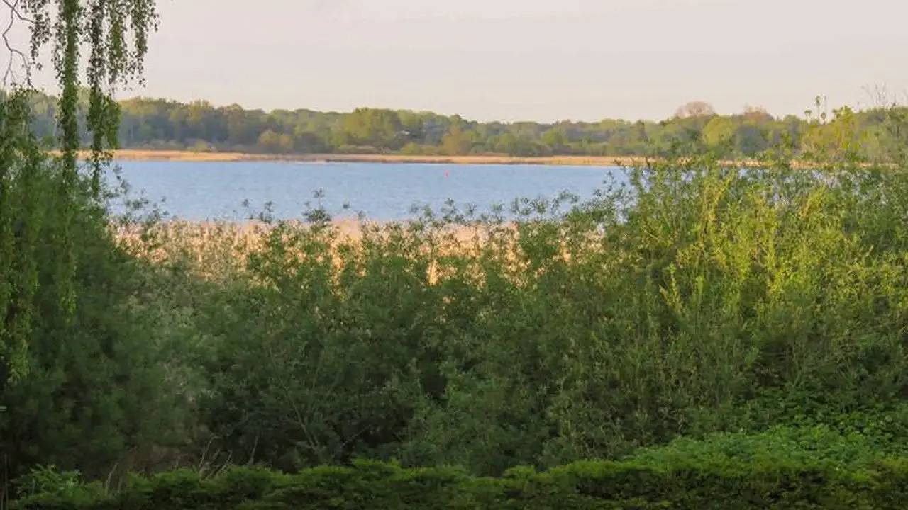 Ferienhaus für 4 Personen (40 m²) in Ribnitz-Damgarten in Ribnitz, Ribnitz-Damgarten