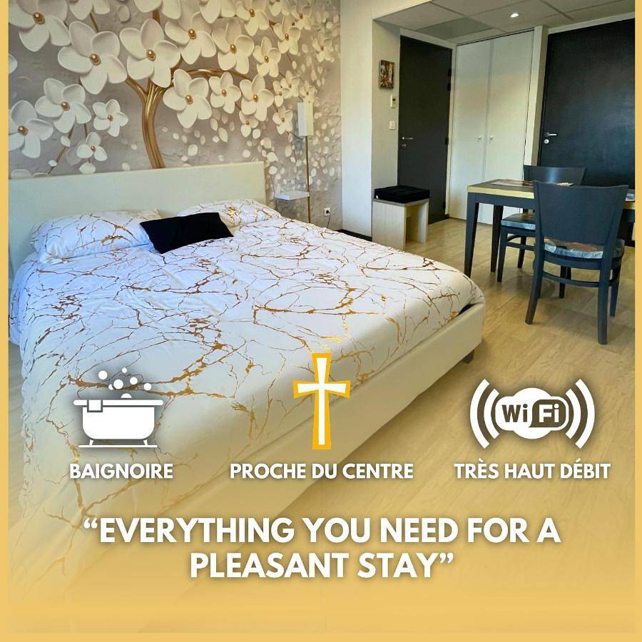 Appartement entier, [Rêve doré] Studio Équipé, Wifi, Unique in Lourdes, Hautes-Pyrénées