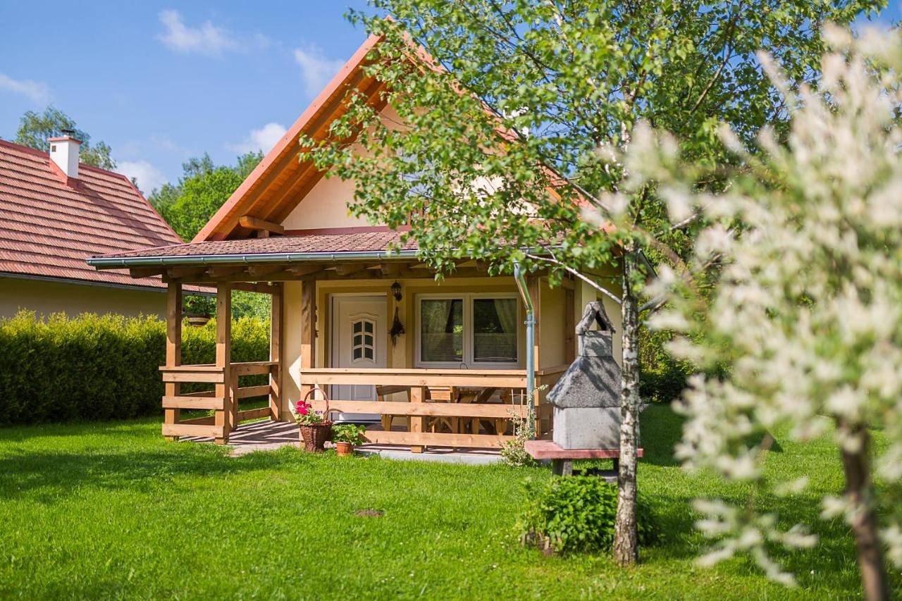 Small Double Room in Karpaty (Polska)