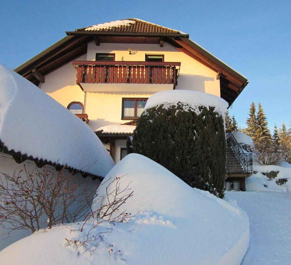Ganze Wohnung, Ferienwohnung Haus Finkbeiner in Kniebis, Freudenstadt