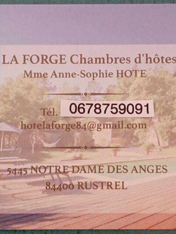 Chambre d’hôte pour 4 personnes, avec jardin et piscine en Provence - 2