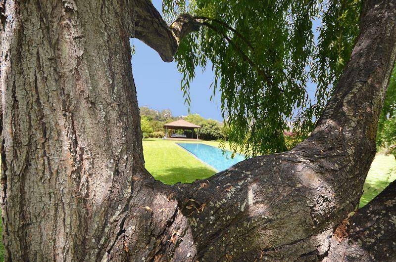 Encantadora casita de campo con piscina  M08Gc in Santa Brígida, Gran Canaria Norte