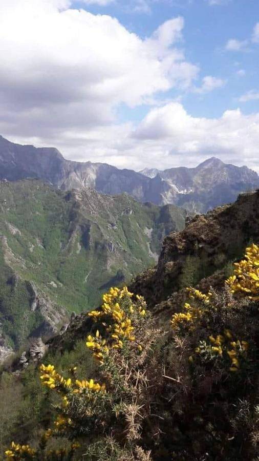 Chambre d’hôte pour 2 personnes, avec vue à Carrare - 4