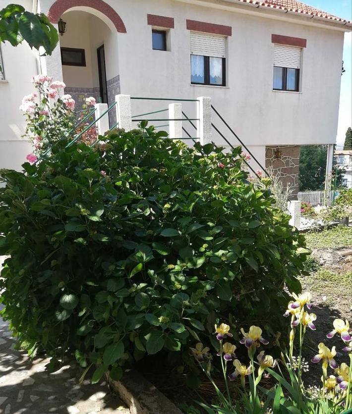 Location de vacances pour 10 personnes, avec vue et jardin dans Tabuaço - 4