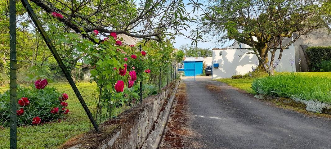 Gîte pour 2 personnes, avec terrasse dans le Loir-et-Cher - 3