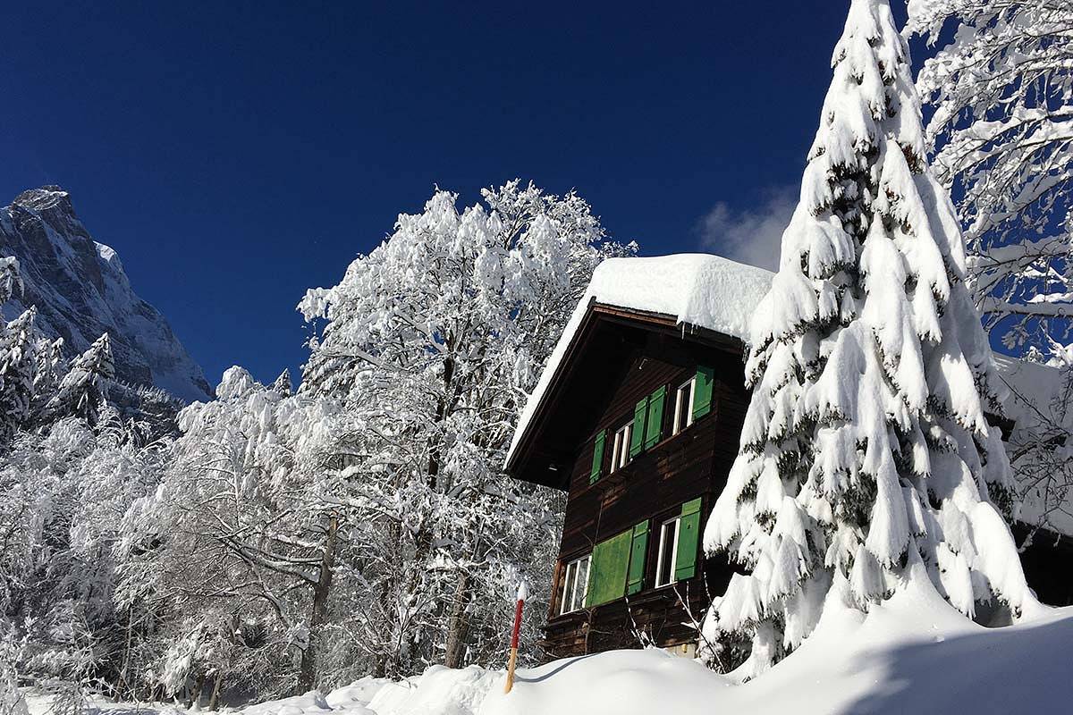 Ganze Ferienwohnung, Chalet Finöggeli Nr. 188 - 4-Zimmer Ferienhaus in Glarus Süd, Kanton Glarus