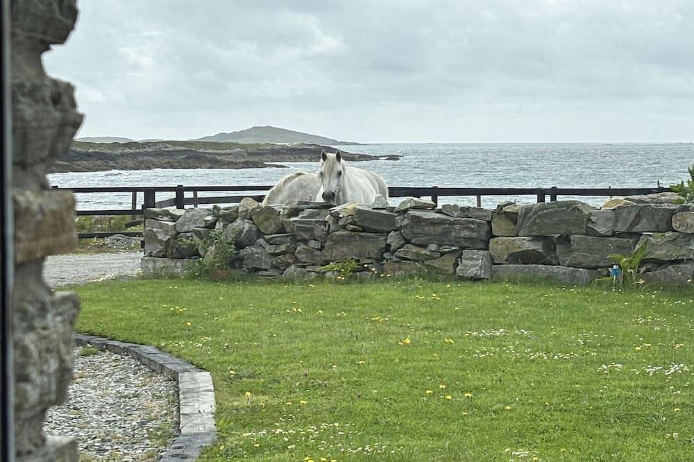 Casa vacanza a Connemara a partire da 124€ a notte