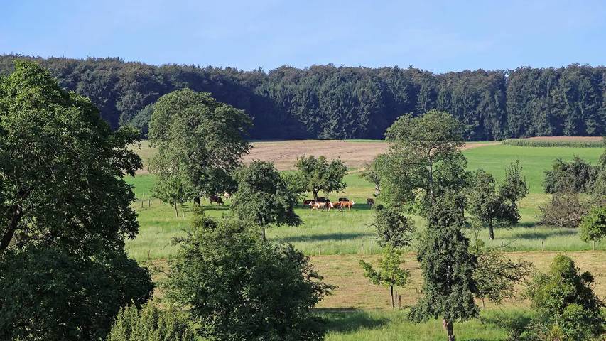 Bauernhof für 6 Personen, mit Garten im Odenwald - 4