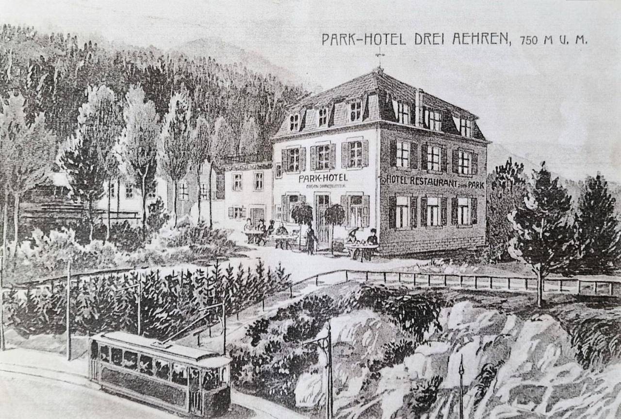 Appartement entier, La Villa du Parc - Alsace & Vosges in Trois-Épis, Niedermorschwihr