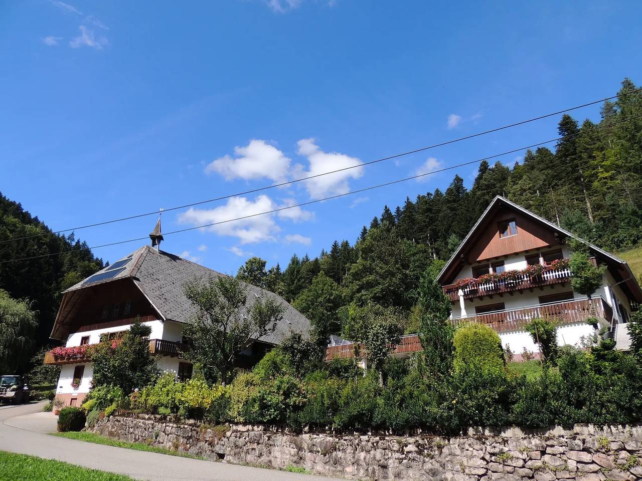 Ganze Wohnung, Waldbauernhof Ferienwohnung 1 in Hornberg, Mittlerer Schwarzwald