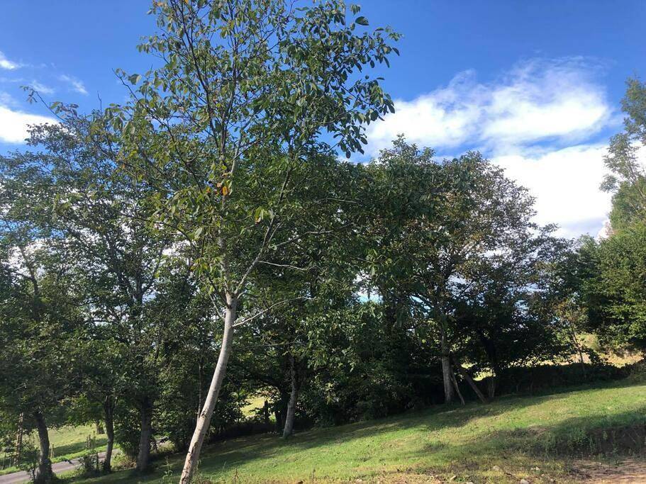 Gite "La Vigne" au cœur du Livradois Forez in Tours-sur-Meymont, Parc Naturel Régional Livradois-Forez