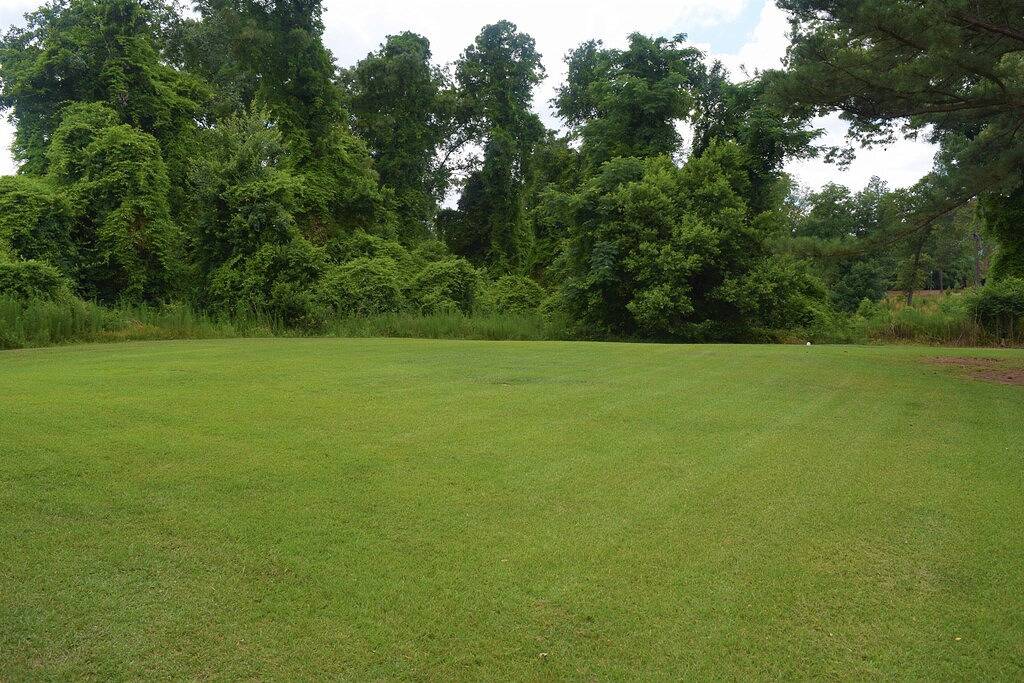 Das Robin's Egg - Walk to the Village! in Pinehurst, Moore County