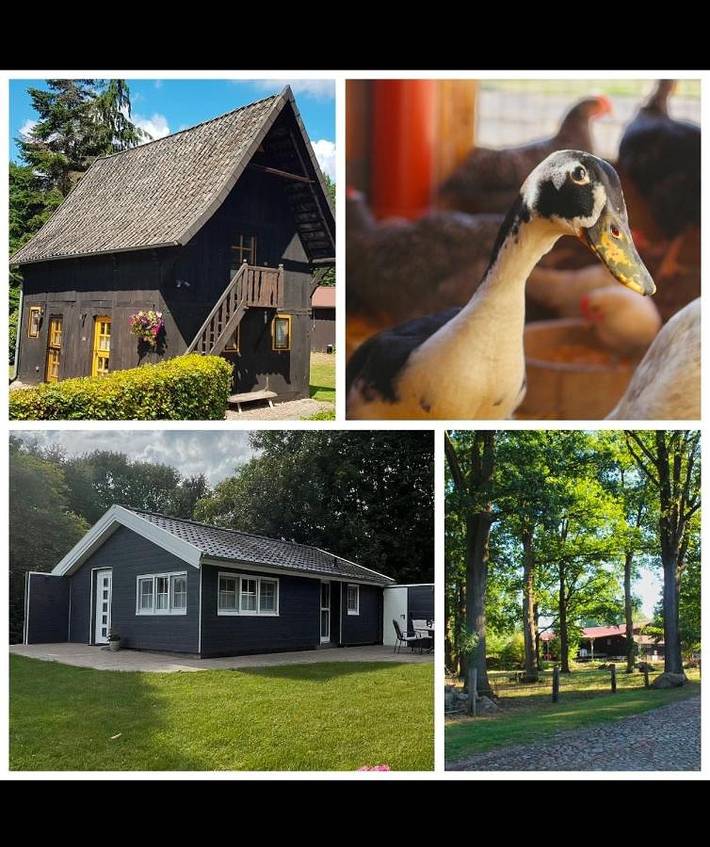 Ferienhaus für 5 Personen, mit Garten und Ausblick - 1