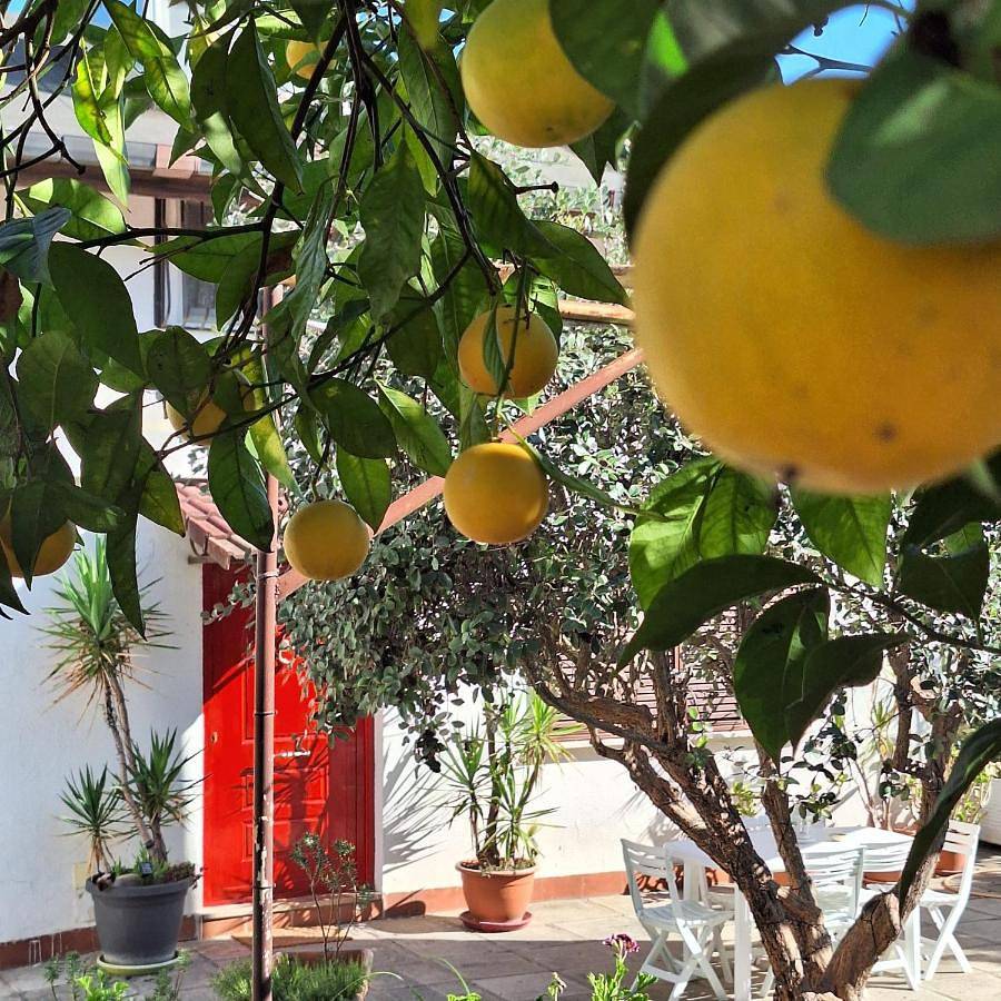 Giallo Limone B&B in Salerno, Costa tirrenica Campania