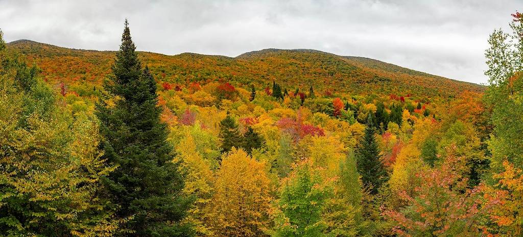 Ganze Wohnung, Jay Peak 3mi - ski home via Big Jay! in Jay Peak