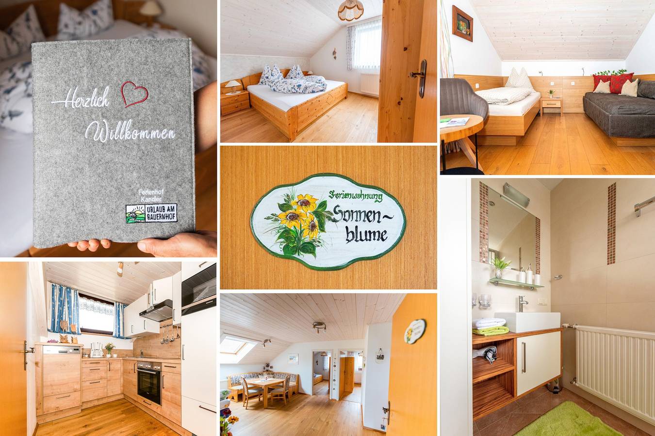 Ganze Ferienwohnung, Ferienwohnung für 7 Personen mit Ausblick in Roßleithen, Kirchdorf an der Krems (Bezirk)