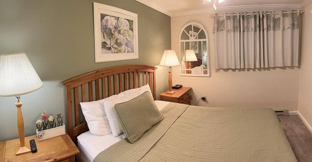 Ganze Wohnung, Ml 263 - Delightful 1Br retreat minutes to the bike trails! in Snowshoe, Greenbrier River