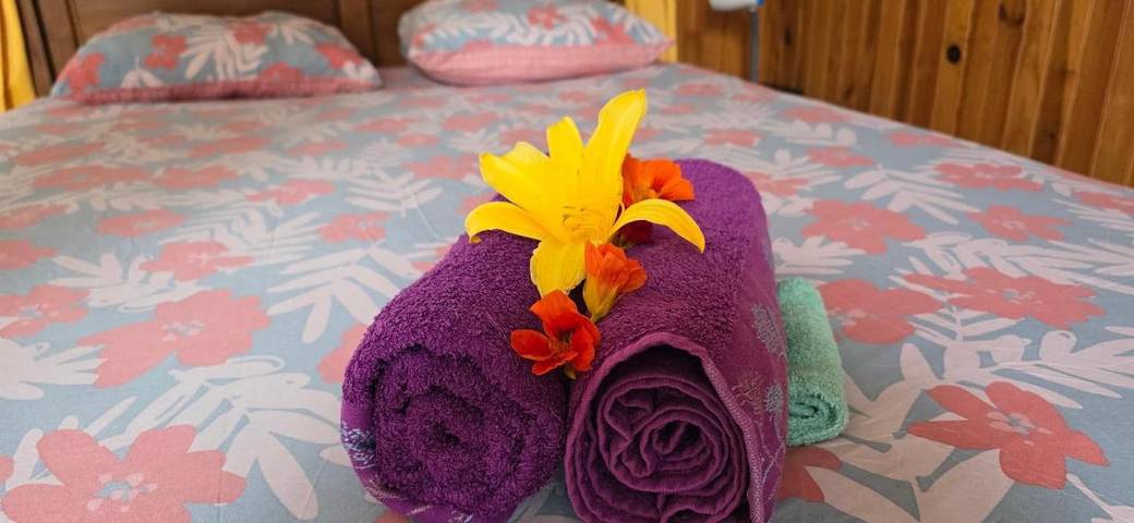 Gîte pour 2 personnes, avec jardin et vue, animaux acceptés aux Avirons - 2