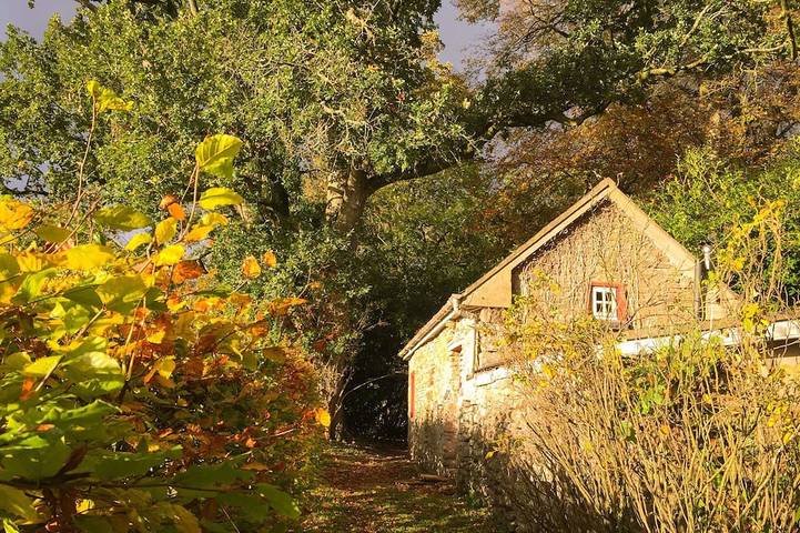 Holiday rental for 2 people, with garden in Leinster