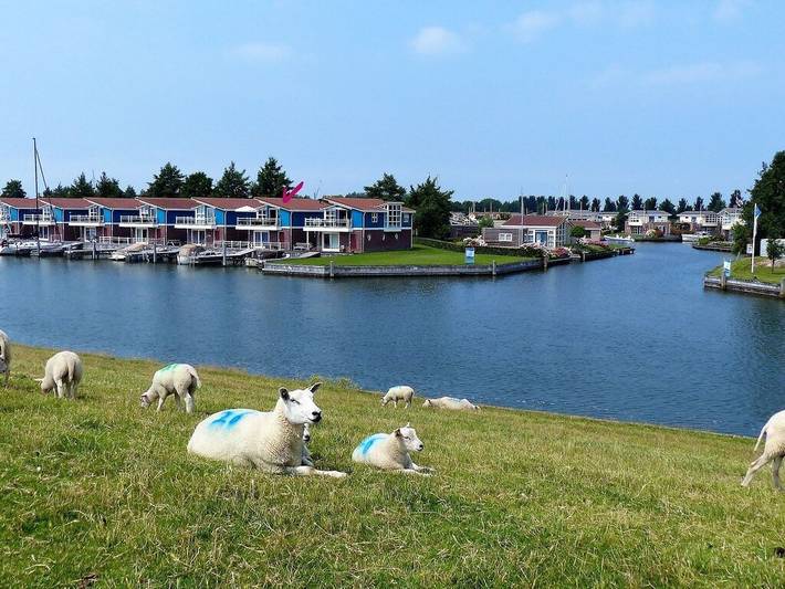 Friesland Zilverreiger 4 in Workum, Ijsselmeer
