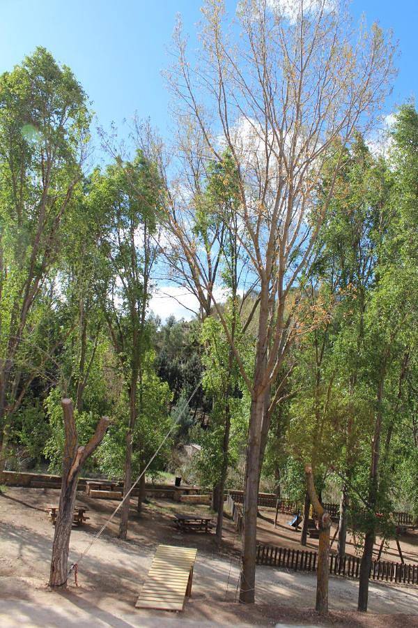 Parque de vacaciones para 4 personas, con Terraza además de Piscina y Vistas en Provincia de Albacete - 4